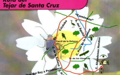 Ruta del Tejar de Santa Cruz