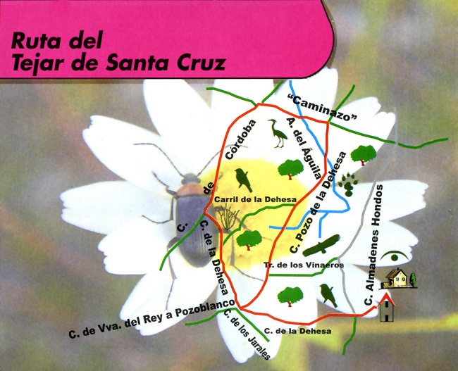 Ruta del Tejar de Santa Cruz