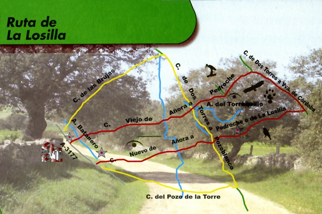 Ruta de La Losilla