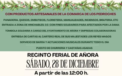 Navilandia y II Mercado Navideño