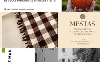 Resultado I Hackathon de emprendimiento sostenible de Añora