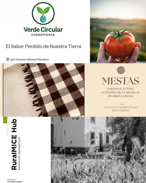 Resultado I Hackathon de emprendimiento sostenible de Añora